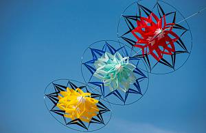 Summer exhibition 2024
